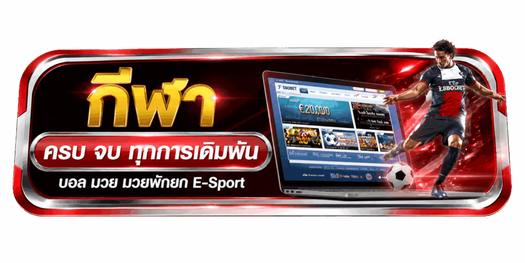 กีฬาครบวงจร